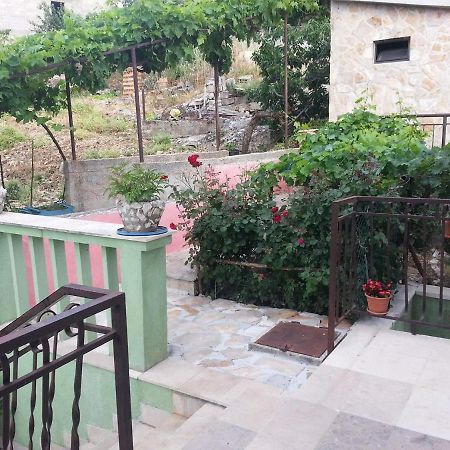 טרוגיר Apartment Zivkovic מראה חיצוני תמונה