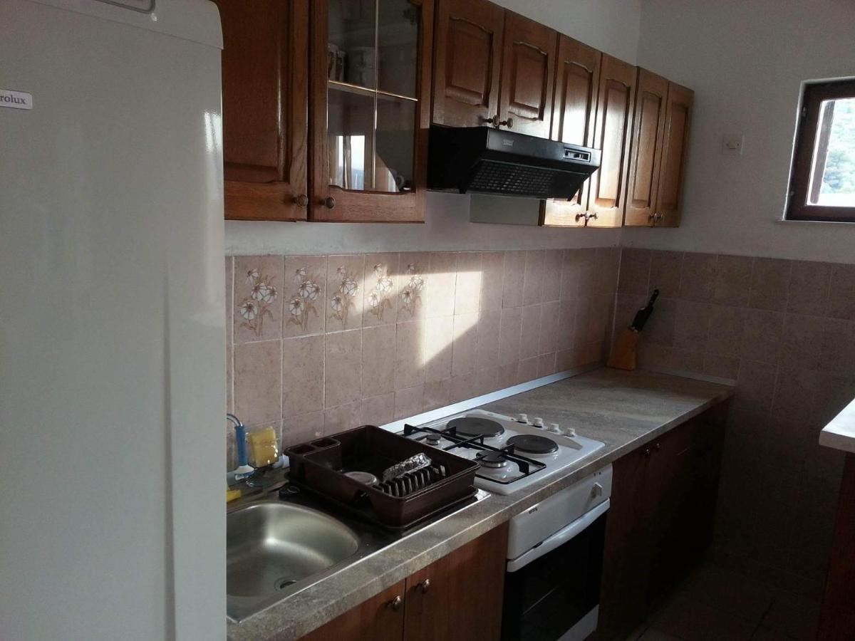 טרוגיר Apartment Zivkovic מראה חיצוני תמונה